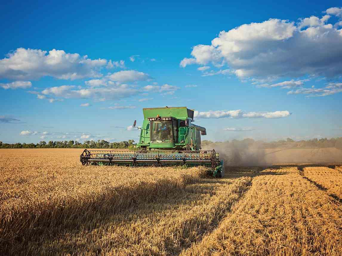 Immagine articolo: Agricoltura, bando da 100 milioni per la competitività. Fino all'80% di contributo. Domande dal 9 marzo