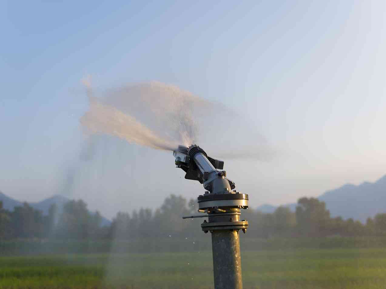 Immagine articolo: Sbloccato lo stipendio ai lavoratori del consorzio bonifica 3 Agrigento