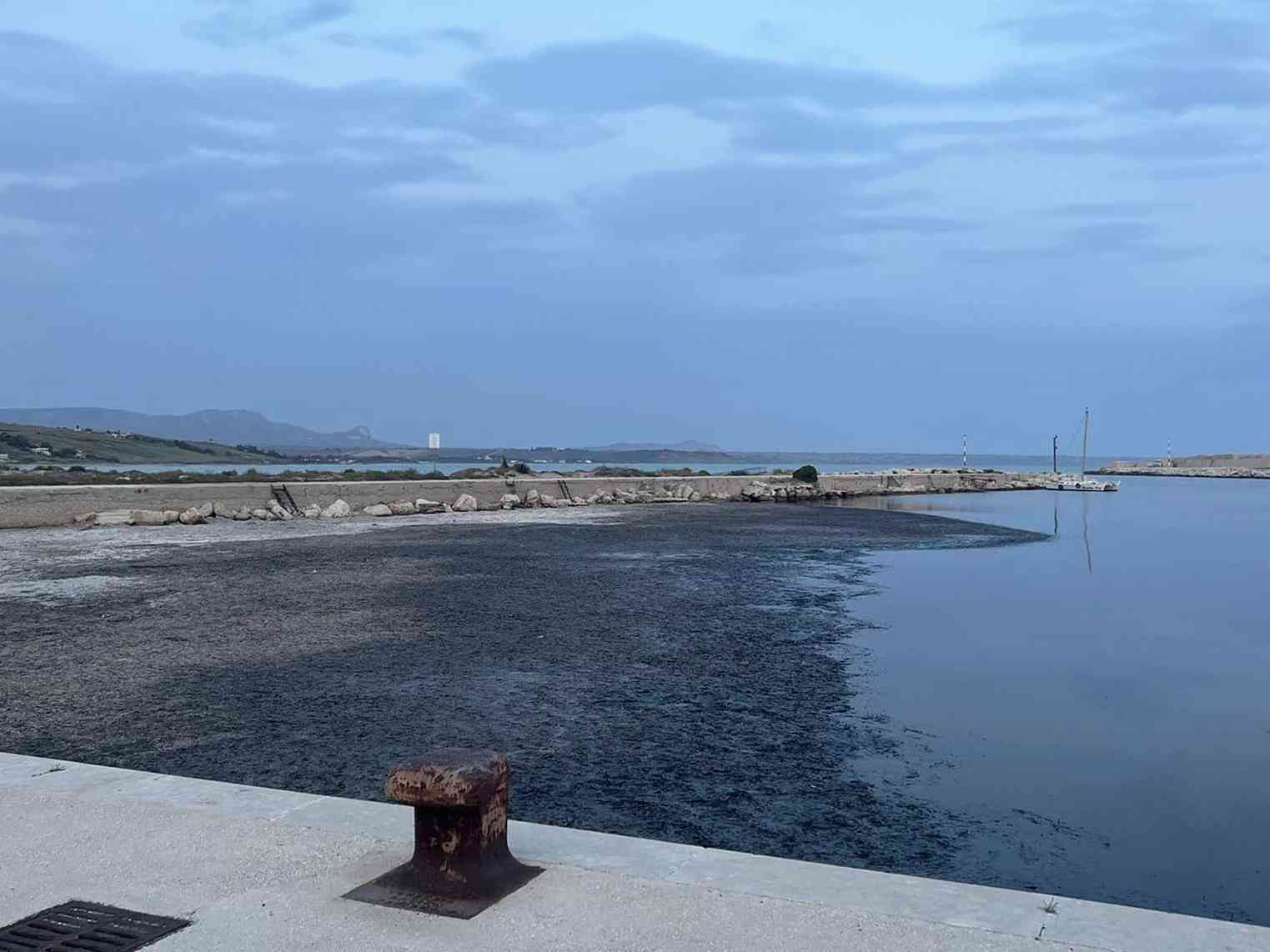 Immagine articolo: Porto Palo di Menfi, associazioni e politica chiedono una soluzione rapida