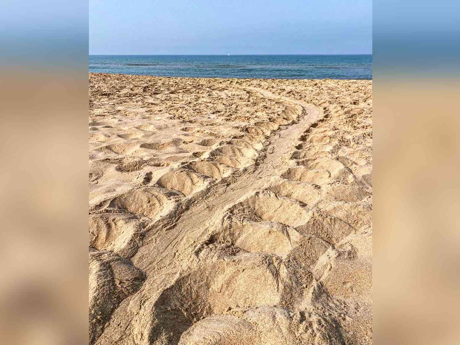 Fonte media: Facebook.com -  Le 4 stagioni Menfi