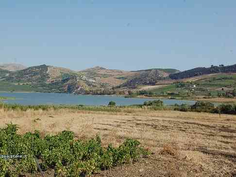 Immagine articolo: MENFI. Emergenza idrica, Presidio Gulfa chiede Consiglio straordinario: “A rischio la prossima stagione irrigua“