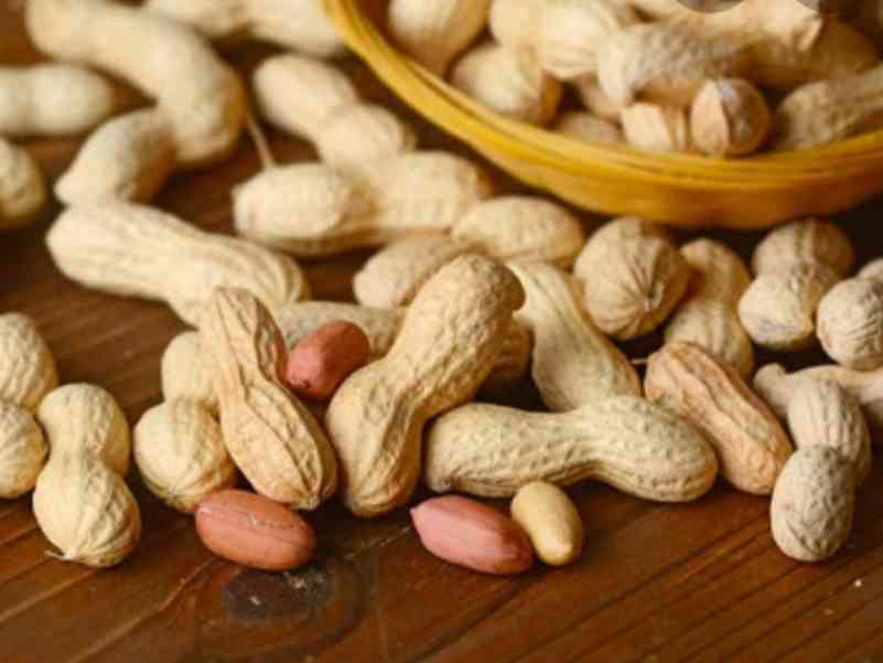 Immagine articolo: Arachidi? Non frutta secca ma un legume speciale. Ecco perchè: