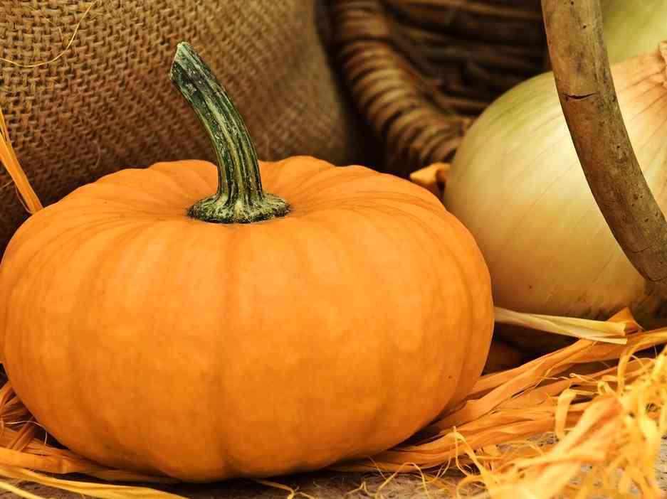 Immagine articolo: Alla “scoperta“ della zucca tra caratteristiche e proprietà benefiche. Ecco perchè fa bene alla salute