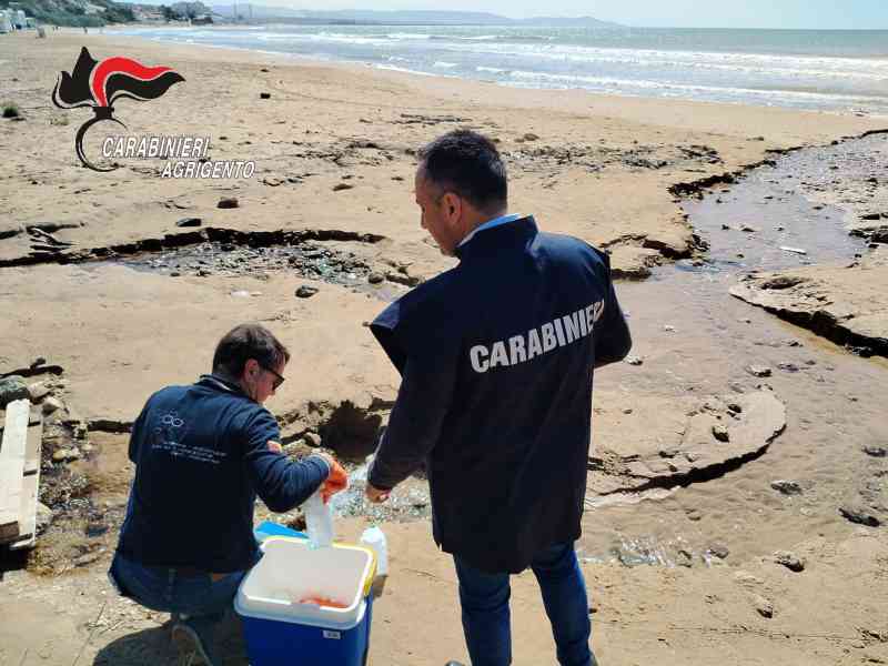 Immagine articolo: Eseguito monitoraggio dei depuratori presenti nella Provincia di Agrigento