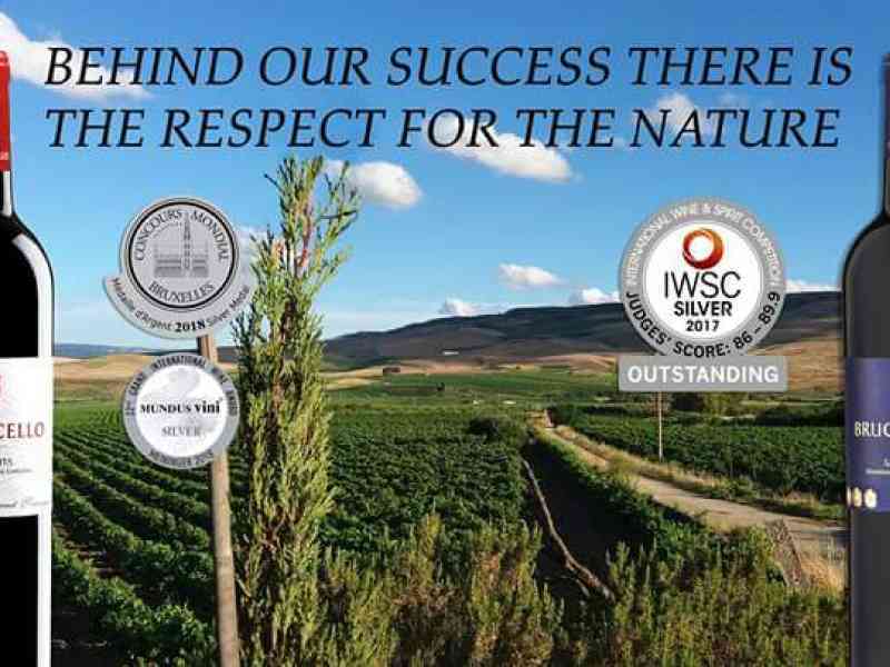 Immagine articolo: Salaparuta, l’azienda vitivinicola “Bruchicello“ alla conquista di numerosi premi internazionali. Riconoscimenti in Germania, Inghilterra e non solo
