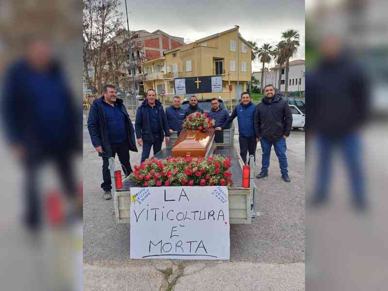 Immagine articolo: La Commissione Bilancio approva misure in favore dell'agricoltura. Pace: “Ristori importanti per un settore in crisi“