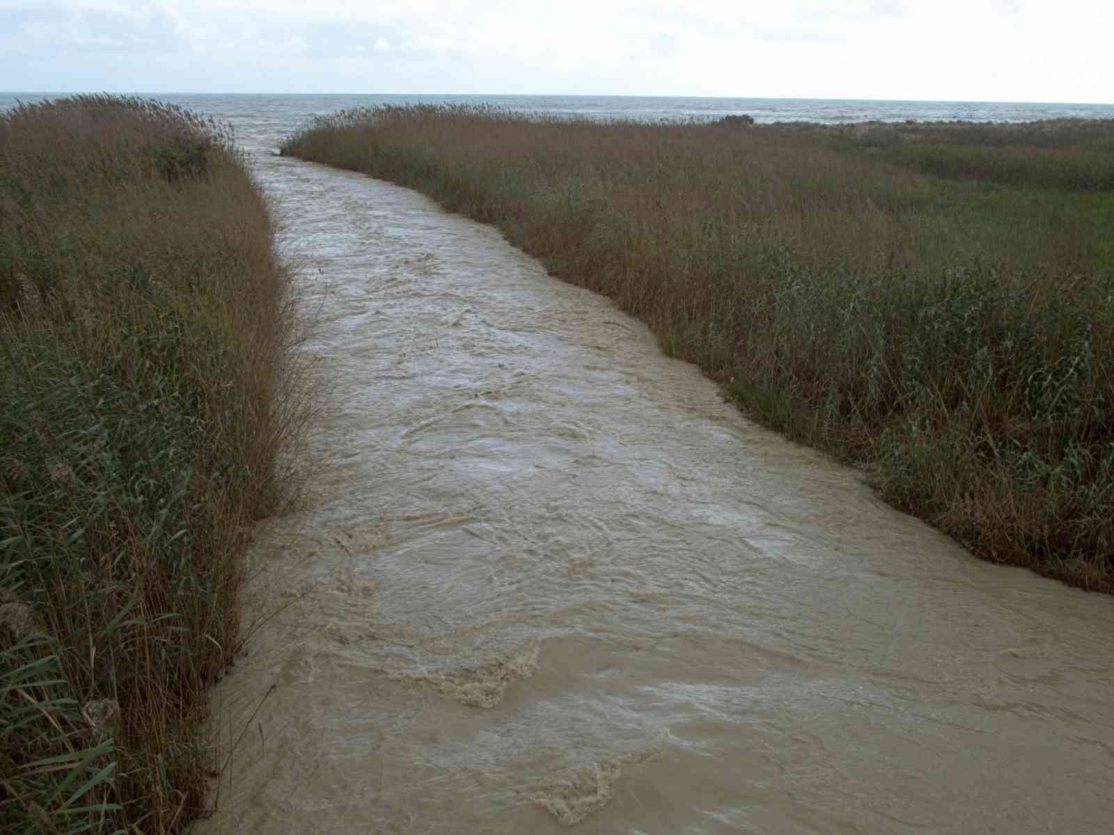 Immagine articolo: Fiume Belice, annunciato il ripristino della prima parte dell'impianto di sollevamento
