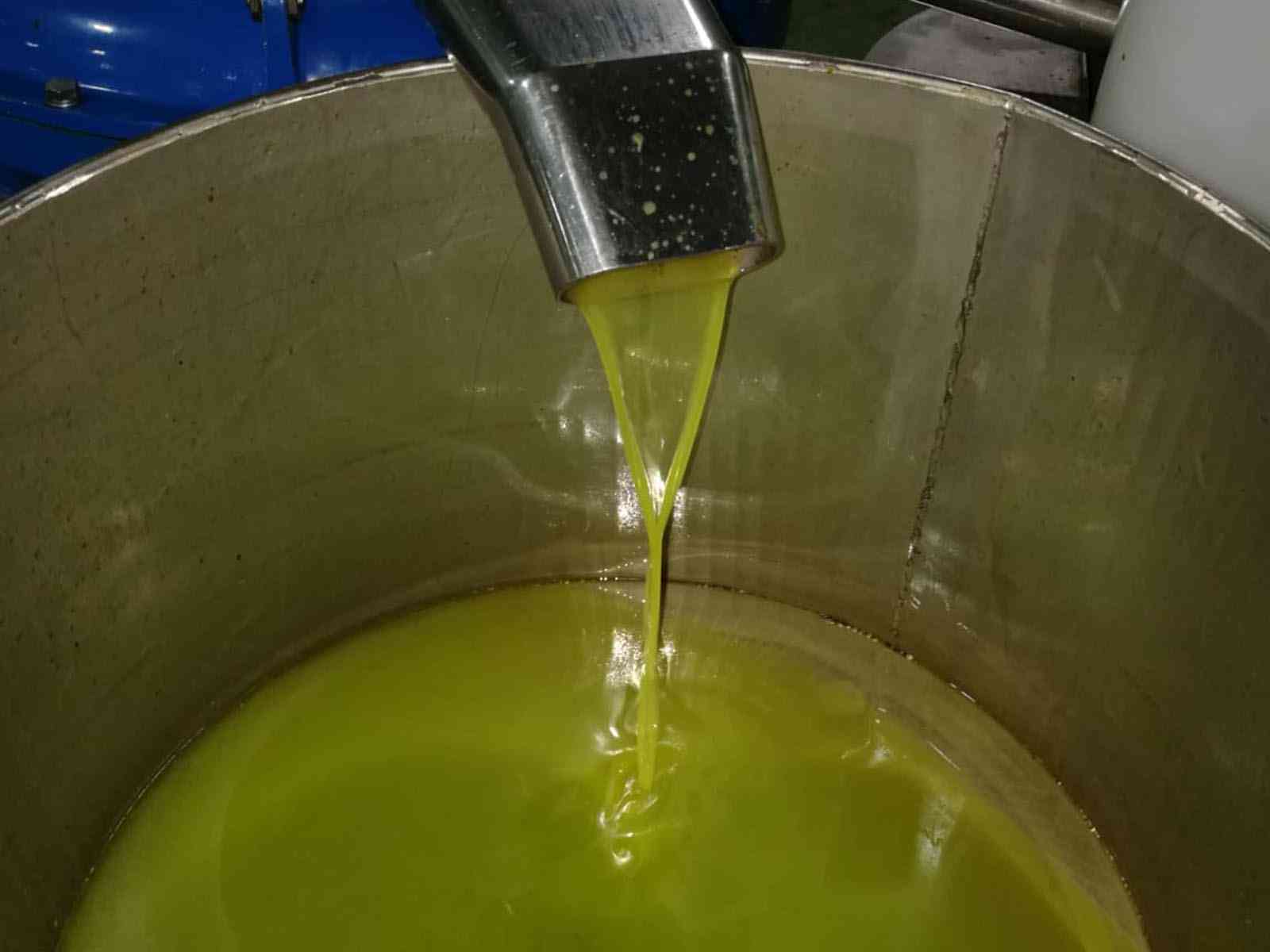 Immagine articolo: Menfi entra nel progetto nazionale “Comunità dell’Olio“. I vantaggi per le aziende che aderiranno